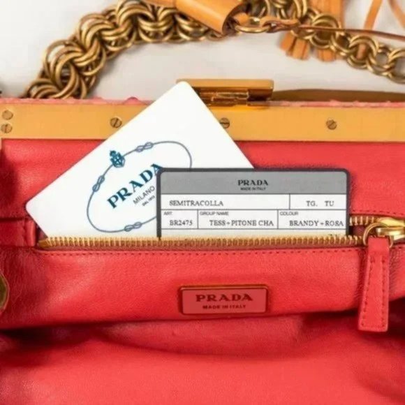 Prada Brandy Tessuto Python Chain Shoulder Bag - Picture 12 of 13